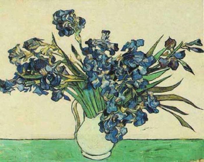 Vincent Van Gogh Vase with Irises China oil painting art